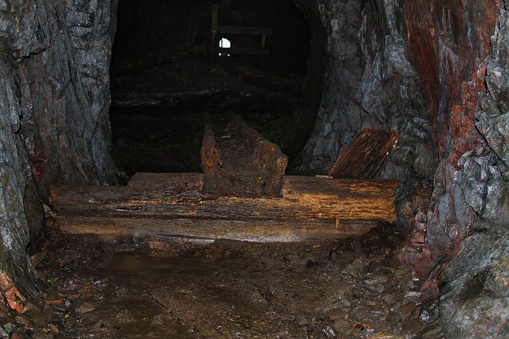 tilas stoll hoegbergsfaeltet