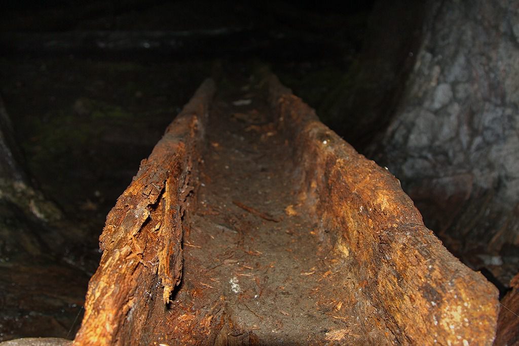 tilas stoll hoegbergsfaeltet