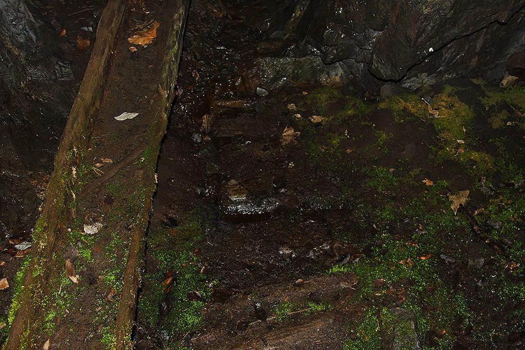 tilas stoll hoegbergsfaeltet