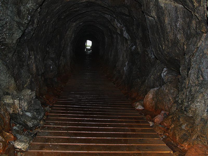 tilas stoll hoegbergsfaeltet