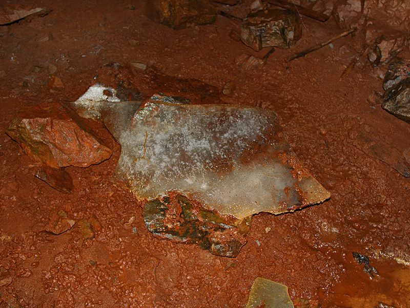 tilas stoll hoegbergsfaeltet