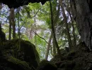 tilas stoll hoegbergsfaeltet
