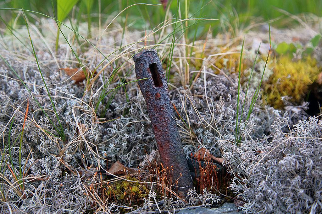 tilas stoll hoegbergsfaeltet
