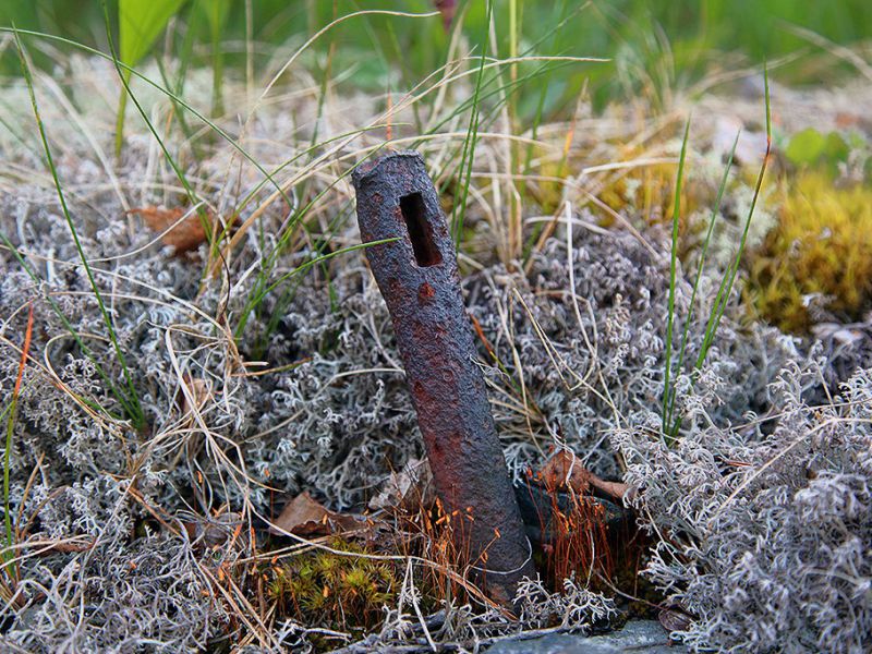 tilas stoll hoegbergsfaeltet