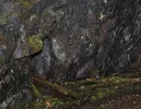 tilas stoll hoegbergsfaeltet