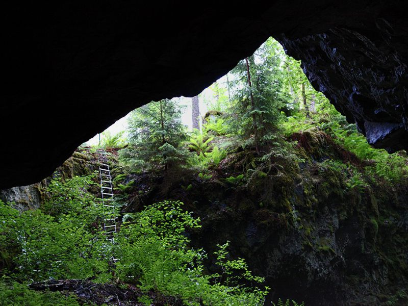 tilas stoll hoegbergsfaeltet