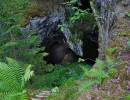 tilas stoll hoegbergsfaeltet