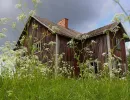 video horror haus 12