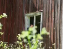 video horror haus 13