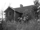 video horror haus 16