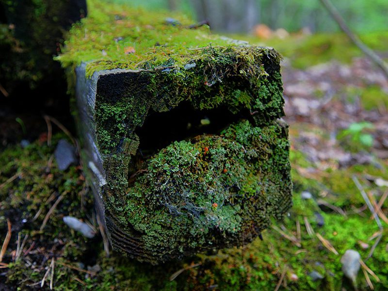 ingelsgruvan sverige gruvor foton