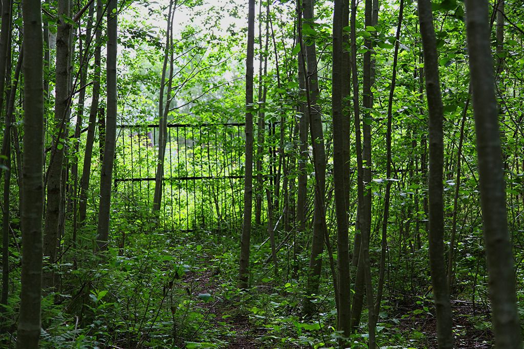 iviken field gammla gruvor