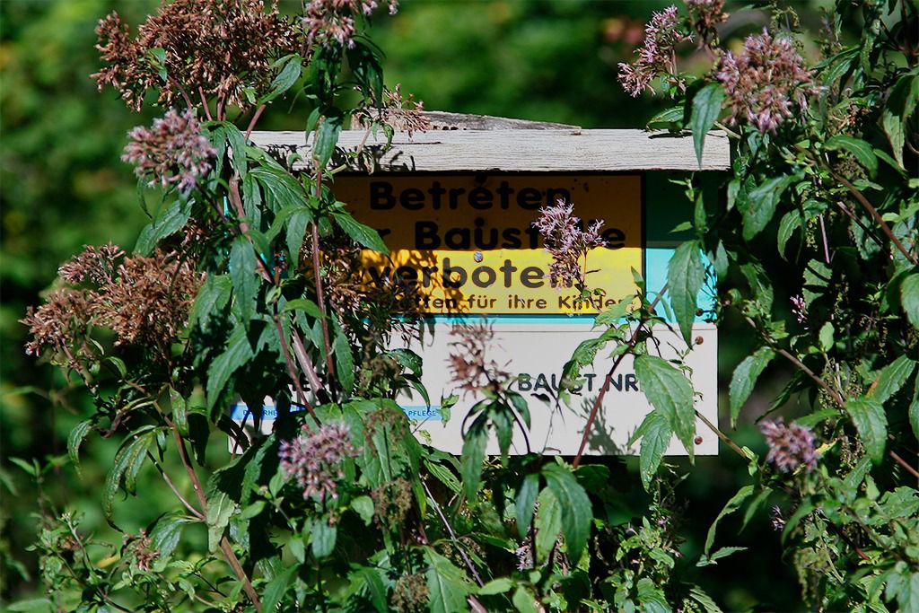 reinshagener bergbaugebiet jacobsstollen bilder 04
