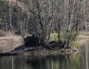 dolomitgrube grube cox in bergisch gladbach 08