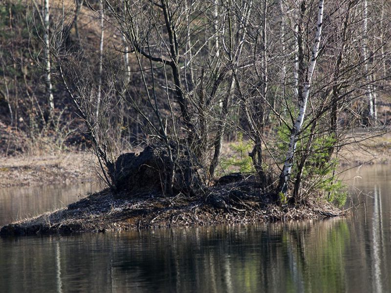 dolomitgrube grube cox in bergisch gladbach 08