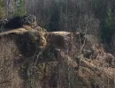 dolomitgrube grube cox in bergisch gladbach 09