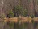 dolomitgrube grube cox in bergisch gladbach 14