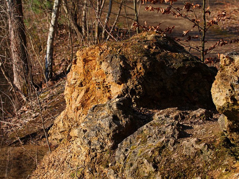 dolomitgrube grube cox in bergisch gladbach 15
