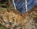 dolomitgrube grube cox in bergisch gladbach 16
