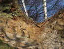 dolomitgrube grube cox in bergisch gladbach 16