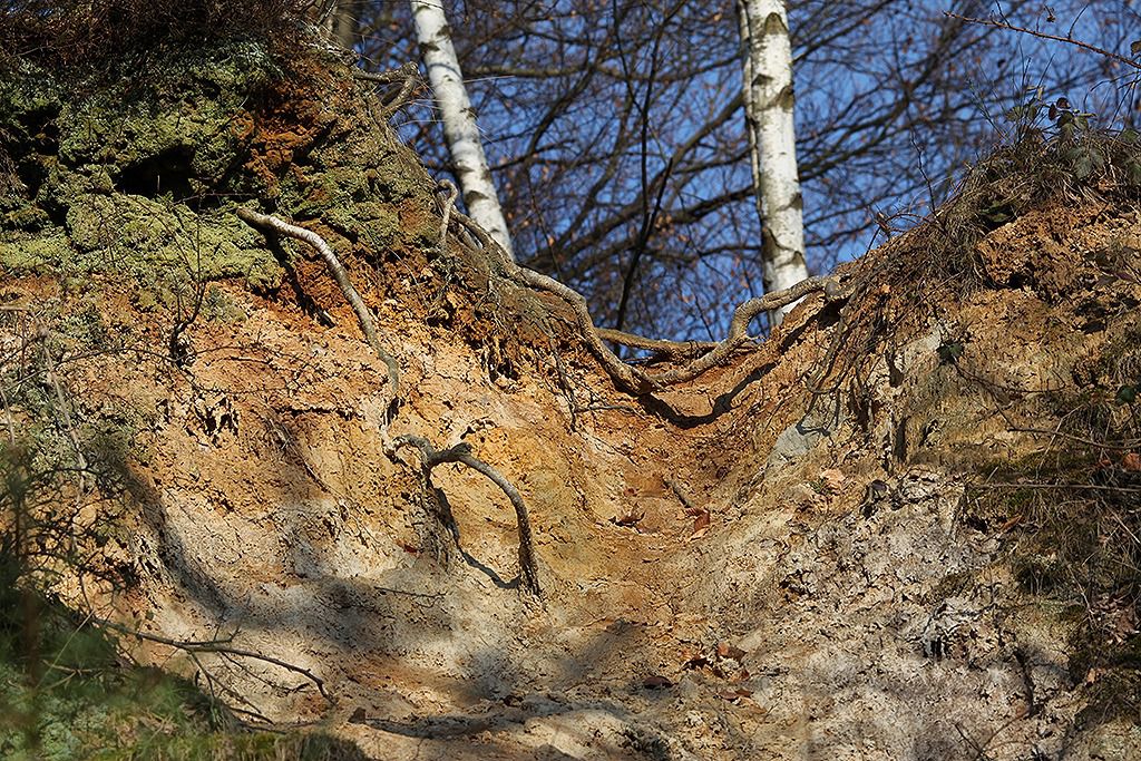 dolomitgrube grube cox in bergisch gladbach 16