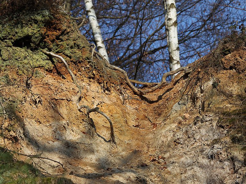 dolomitgrube grube cox in bergisch gladbach 16