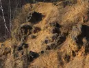 dolomitgrube grube cox in bergisch gladbach 22