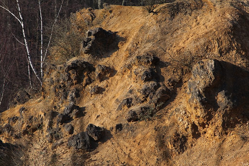 dolomitgrube grube cox in bergisch gladbach 22