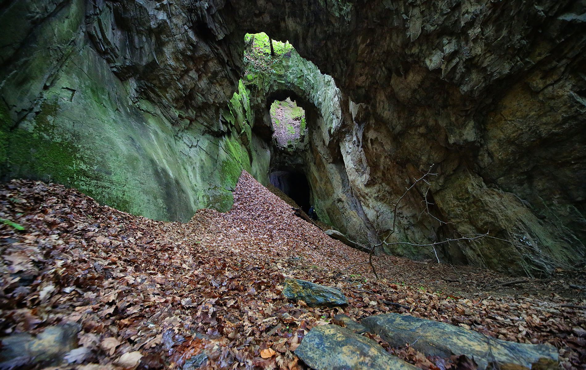 kalksteinbruch goepelbruch in maxen 12