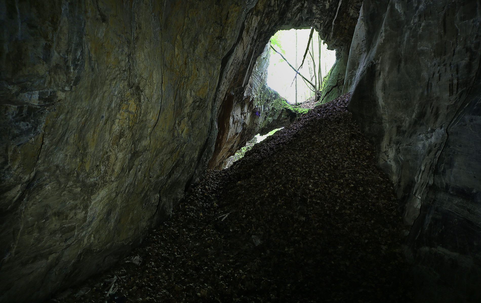 kalksteinbruch goepelbruch in maxen 19