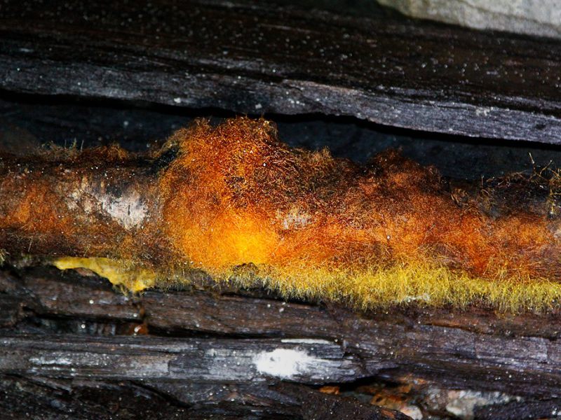 lekombergs gruva i bergslagen