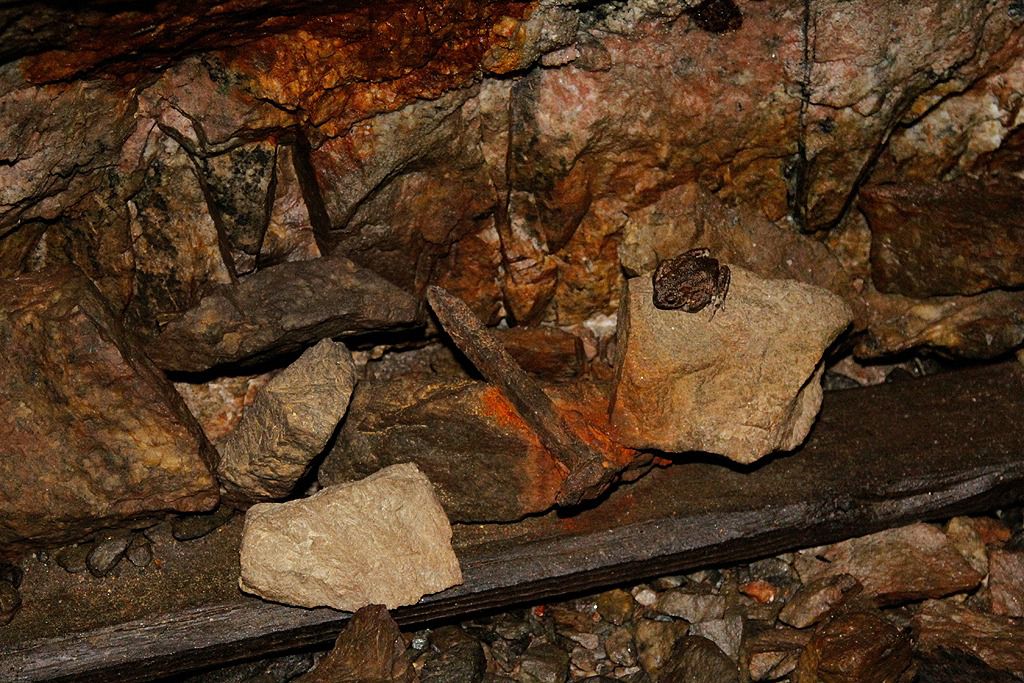 lekombergs gruva i bergslagen