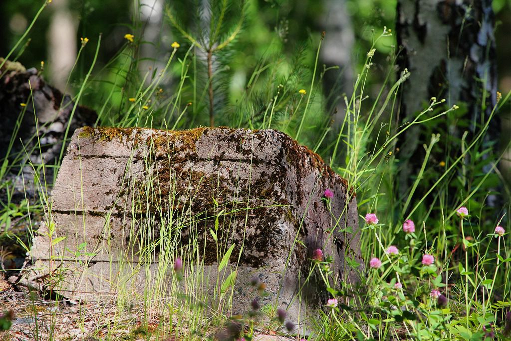 lekombergs gruva i bergslagen