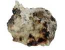druse