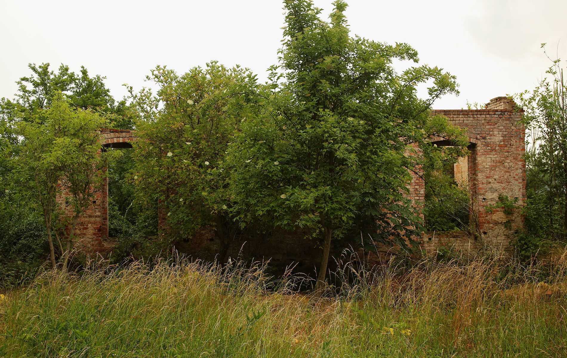 u verlagerung malachit