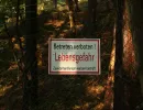 u verlagerung malachit