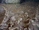 u verlagerung basalt