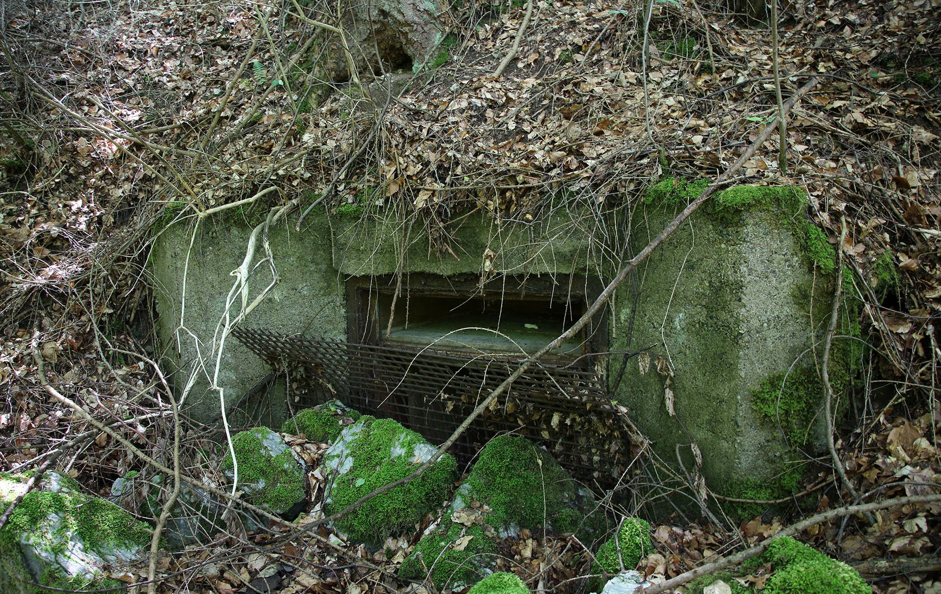 u verlagerung basalt