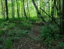 u verlagerung carnallit foto