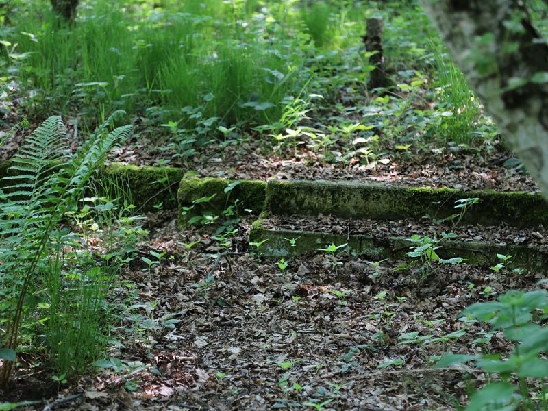 u verlagerung carnallit foto