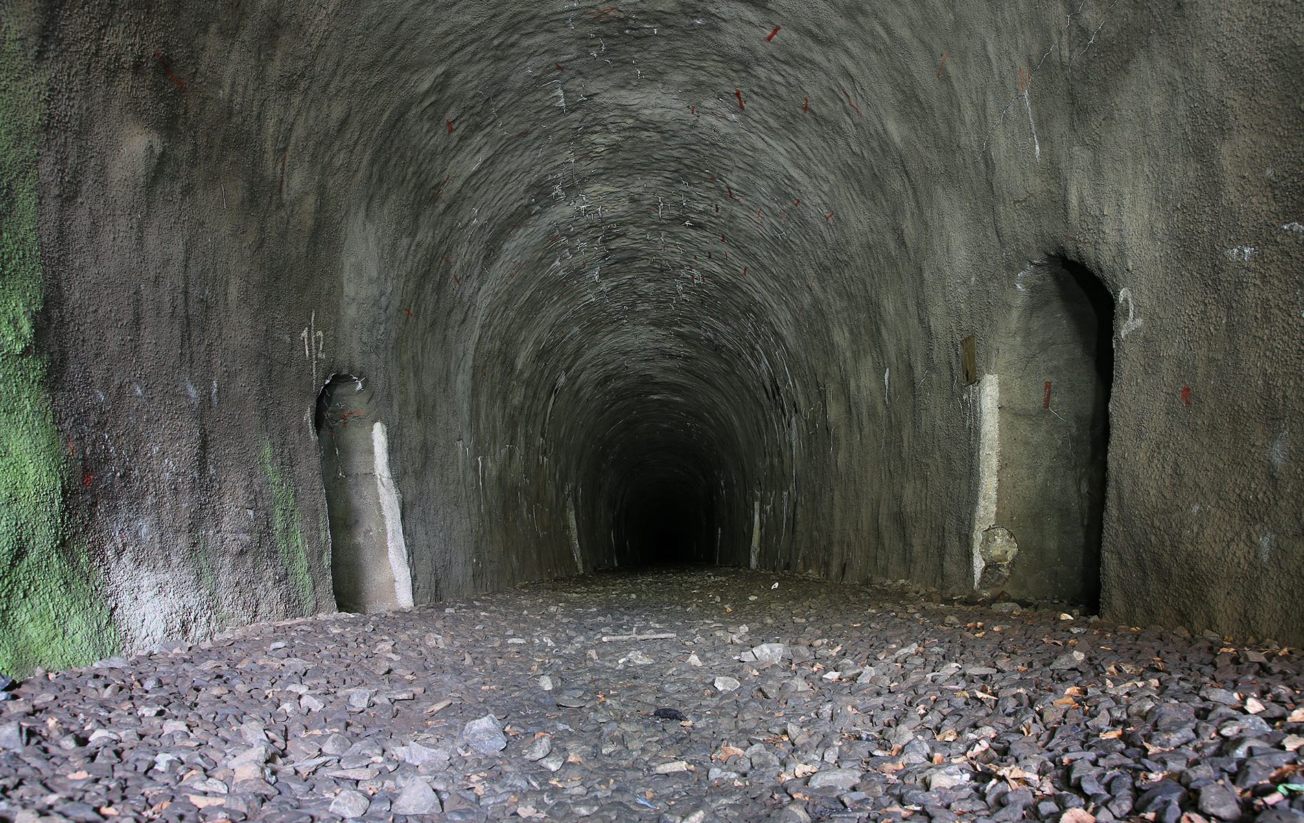 u verlagerung eisvogel