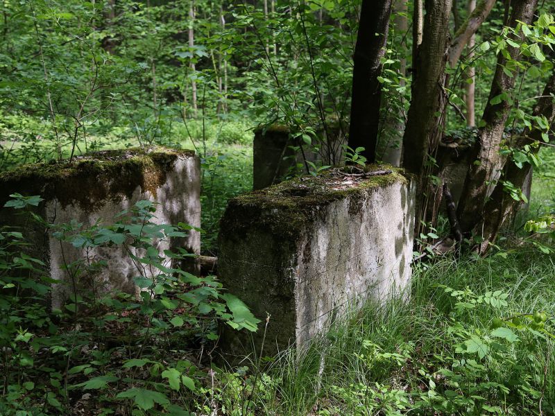 u verlagerung jakob ii foto