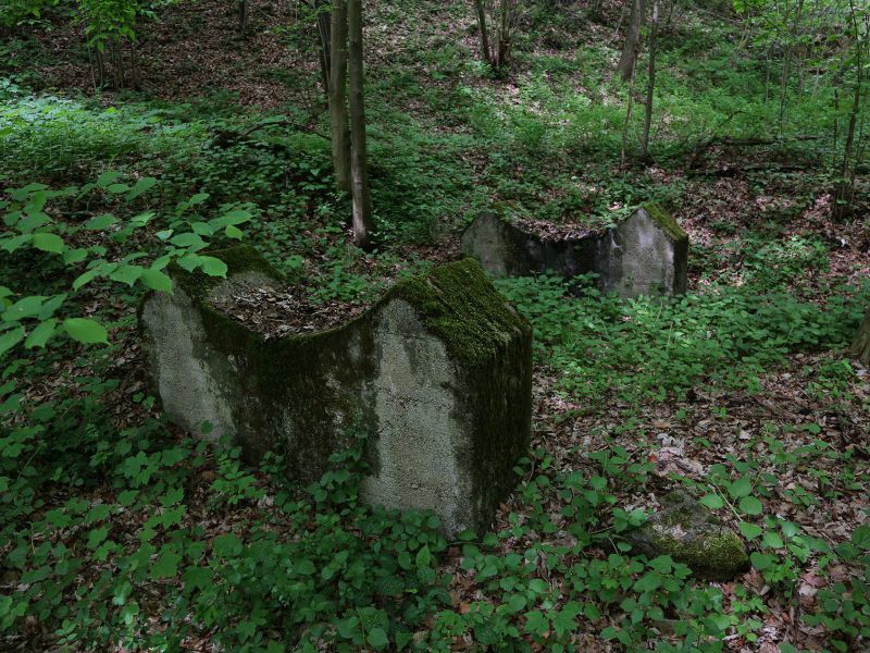 u verlagerung jakob ii foto