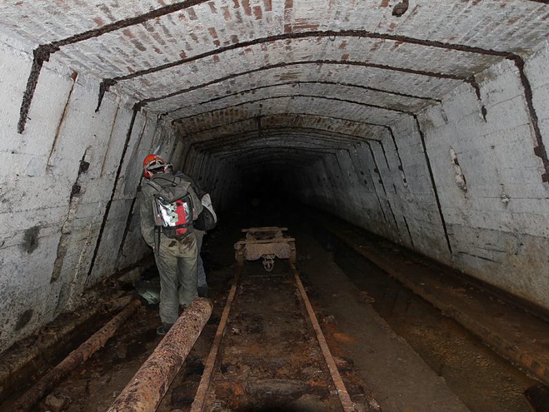 u verlagerung kroete bild