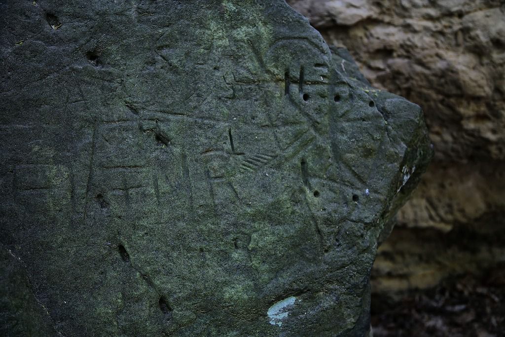 u verlagerung makrele i 48