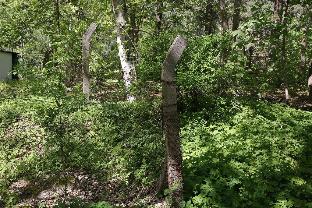 u verlagerung makrele 2 09