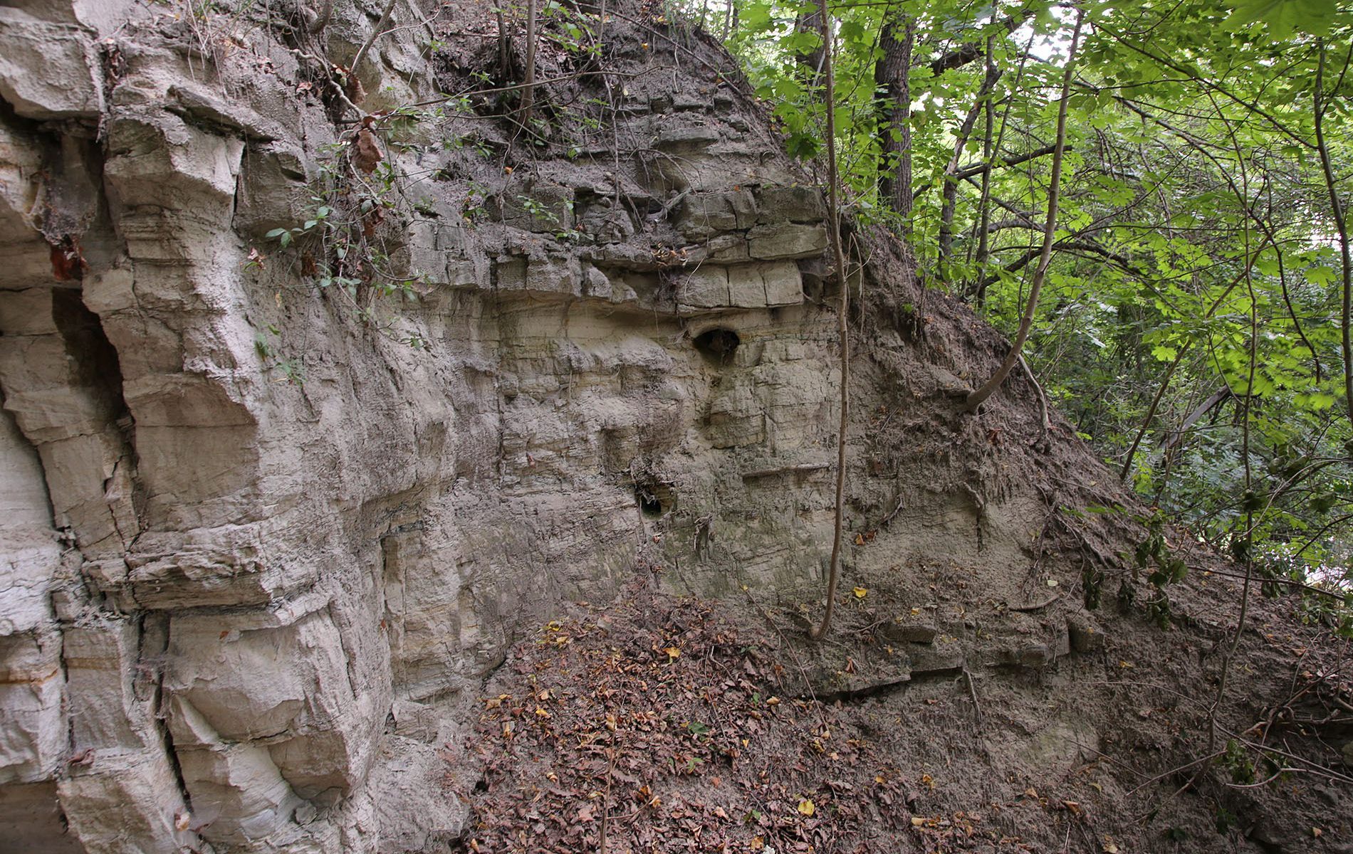 u verlagerung meerschaum 19