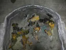 u verlagerung meise 1 im schwelmer tunnel 03