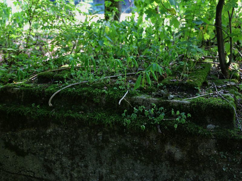 u verlagerung mondstein