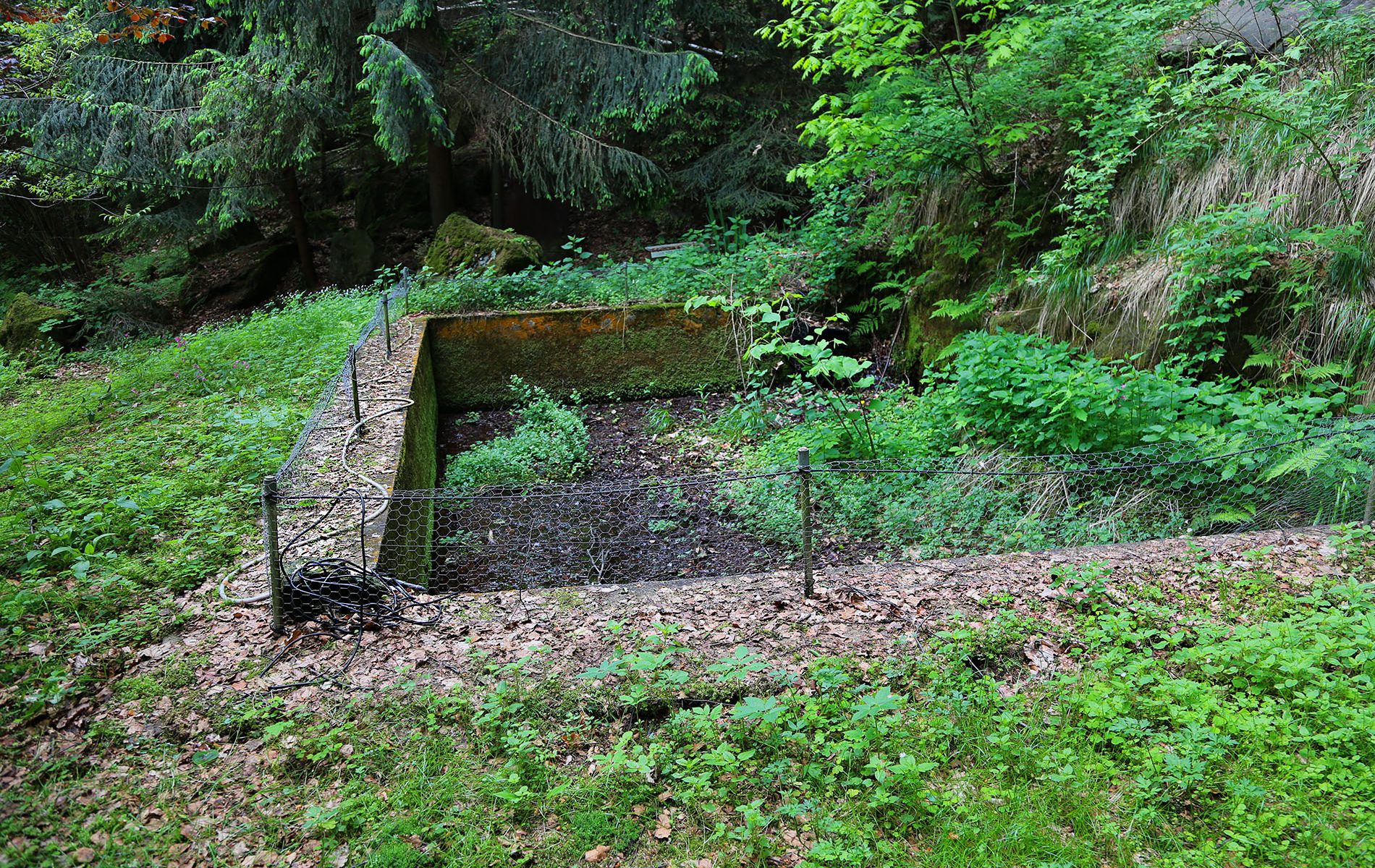 u verlagerung mondstein